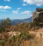 El Campo